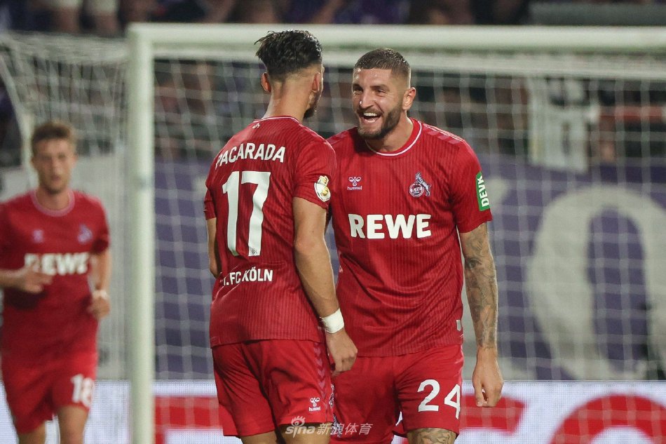 案例分析 案例分析